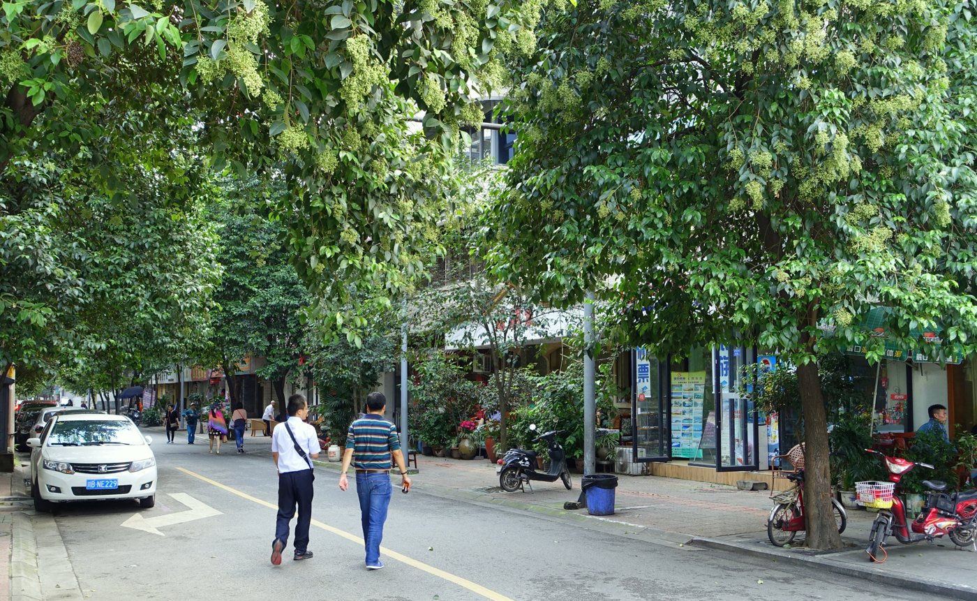 成都街道与社区治理法律服务实拍照片